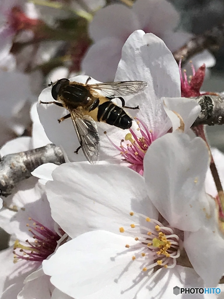 春の陽気に誘われて