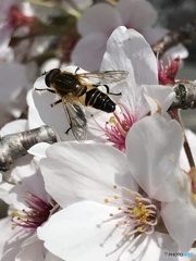 春の陽気に誘われて