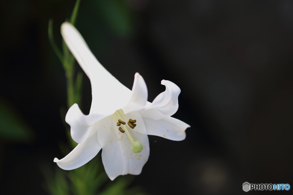 台湾からきた美人♪