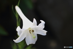 台湾からきた美人♪