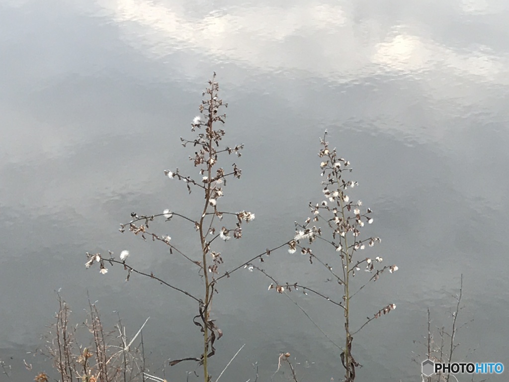 晩秋の空