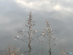 晩秋の空