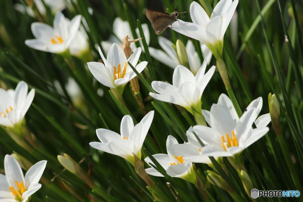 お日様に向かって