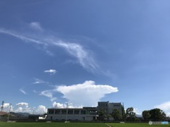 暑中お見舞申し上げます