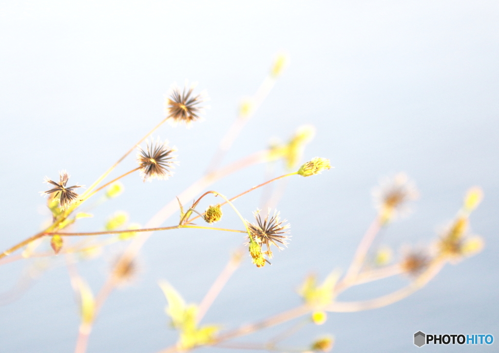 2015年10月29日