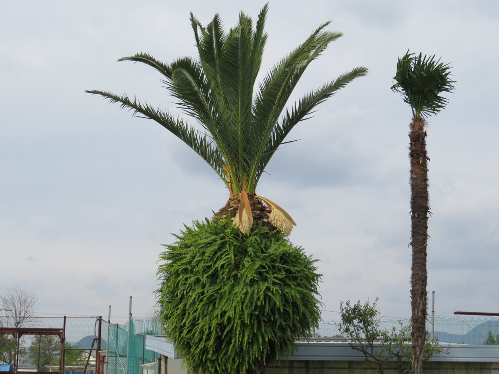 ○○リゾート？？