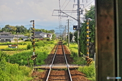秋めく電車路