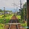 秋めく電車路