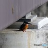 降りてきてくれた(*^-^*)