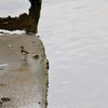 今のうちだ、逃げよう・・・