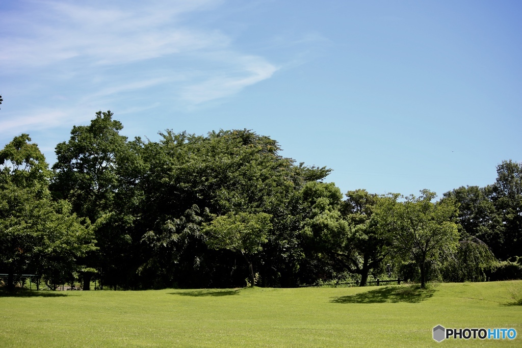 お山の公園