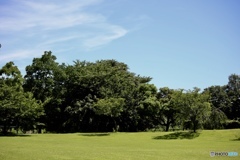 お山の公園