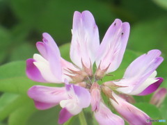 Spring has come!