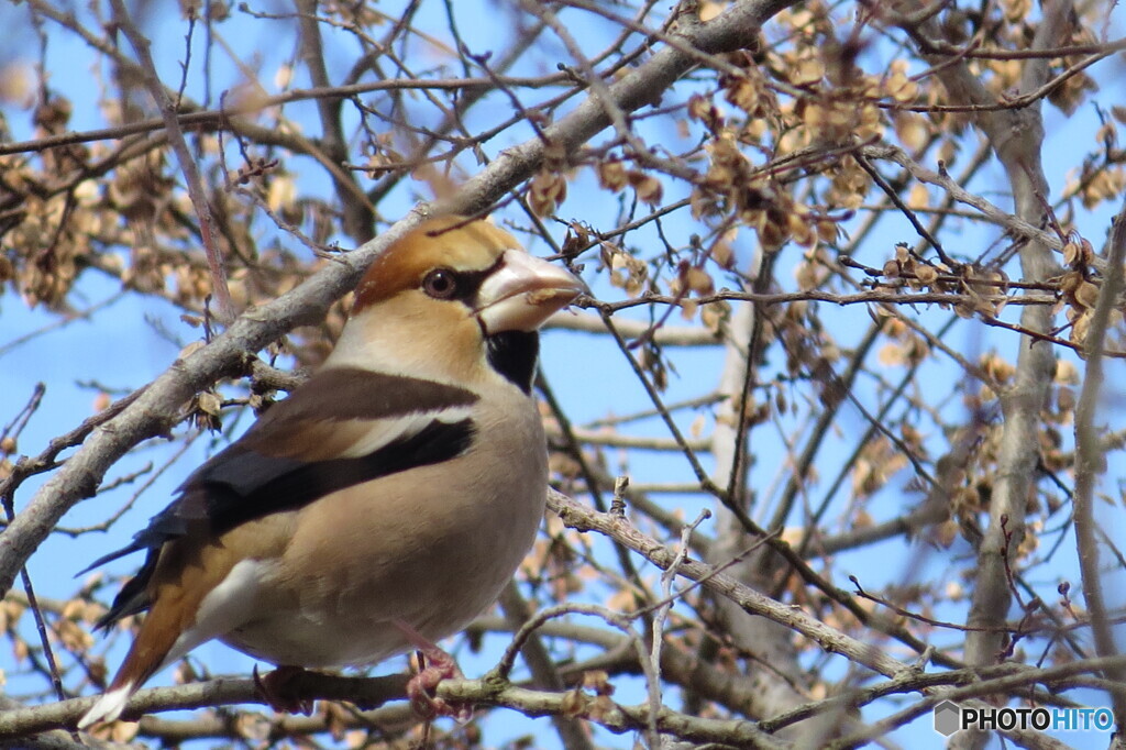 食いしん坊♪