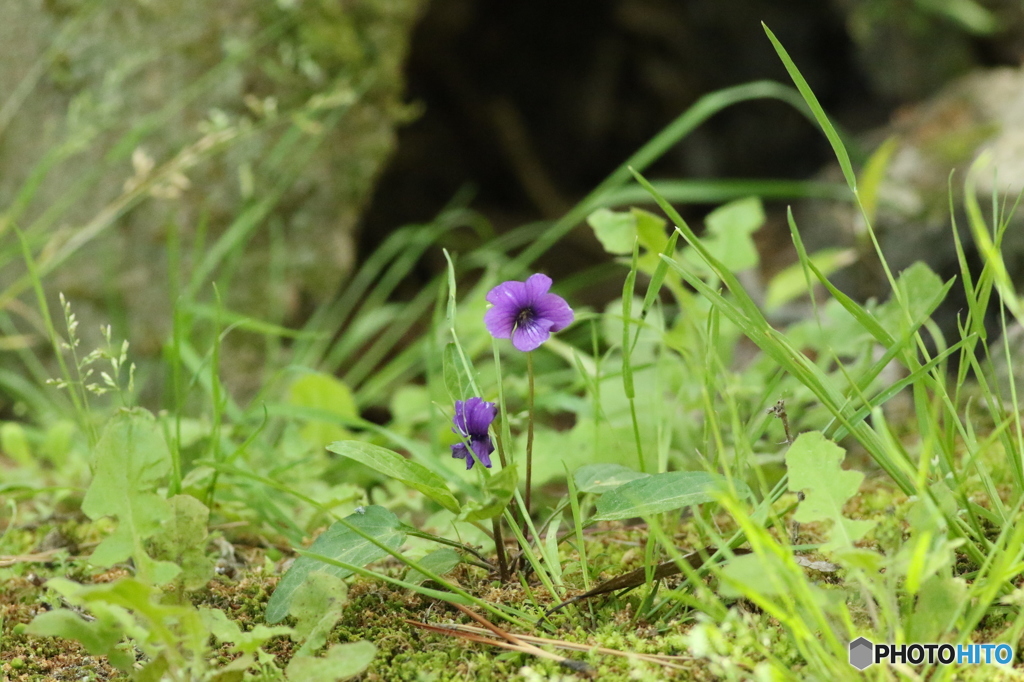 よい連休をお過ごしください♪