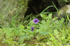 よい連休をお過ごしください♪