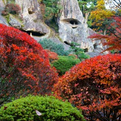 那谷寺の紅葉14