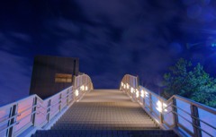 明るい歩道橋【エレベータ有】
