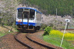 春列車