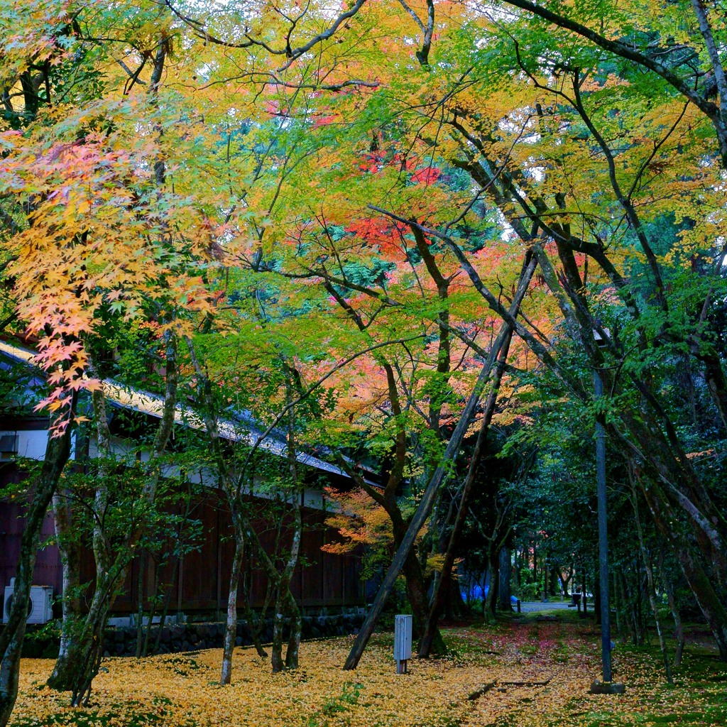 那谷寺の紅葉12