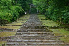 平泉寺白山神社　参道