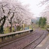 ishikawa sakura 2015 No8