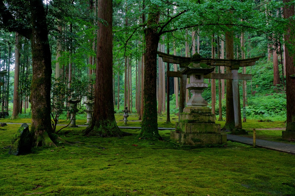 ・・とある苔むす神社にて