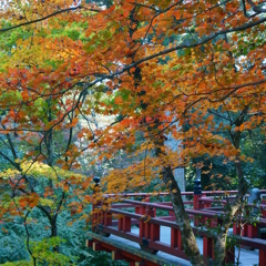 那谷寺の紅葉3