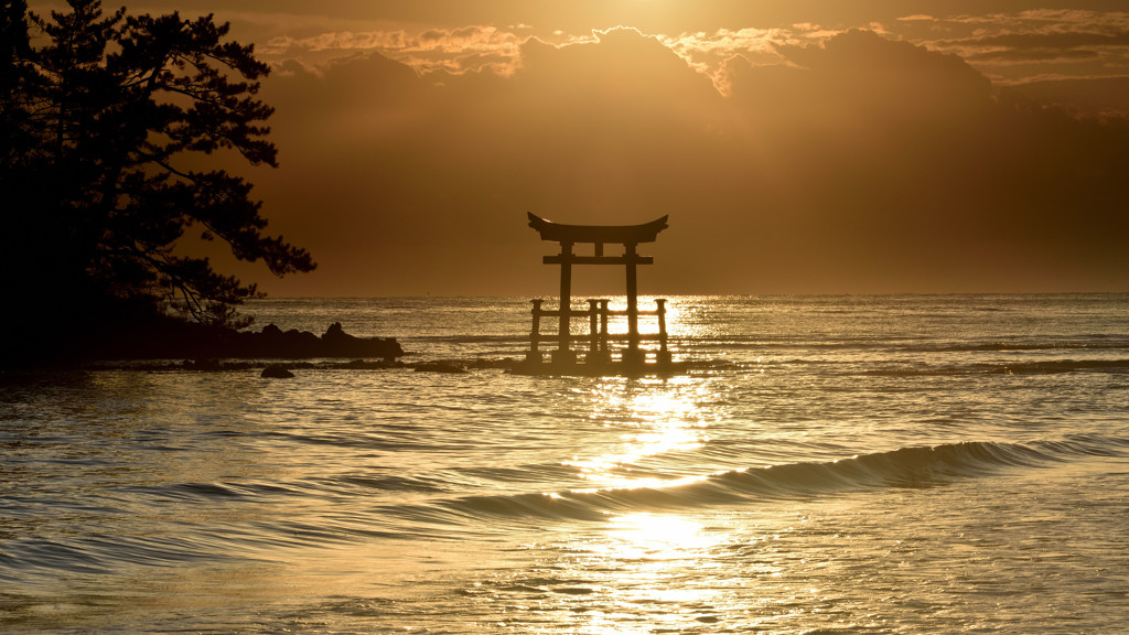 朝の波
