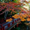秋の楓月橋