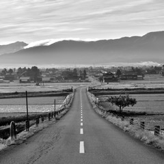 road to 散居村