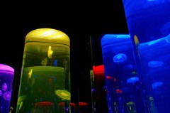 kurage tower (yellow &blue)