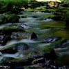 新緑溶けるせせらぎ