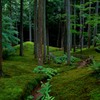 道