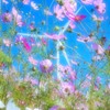花時計