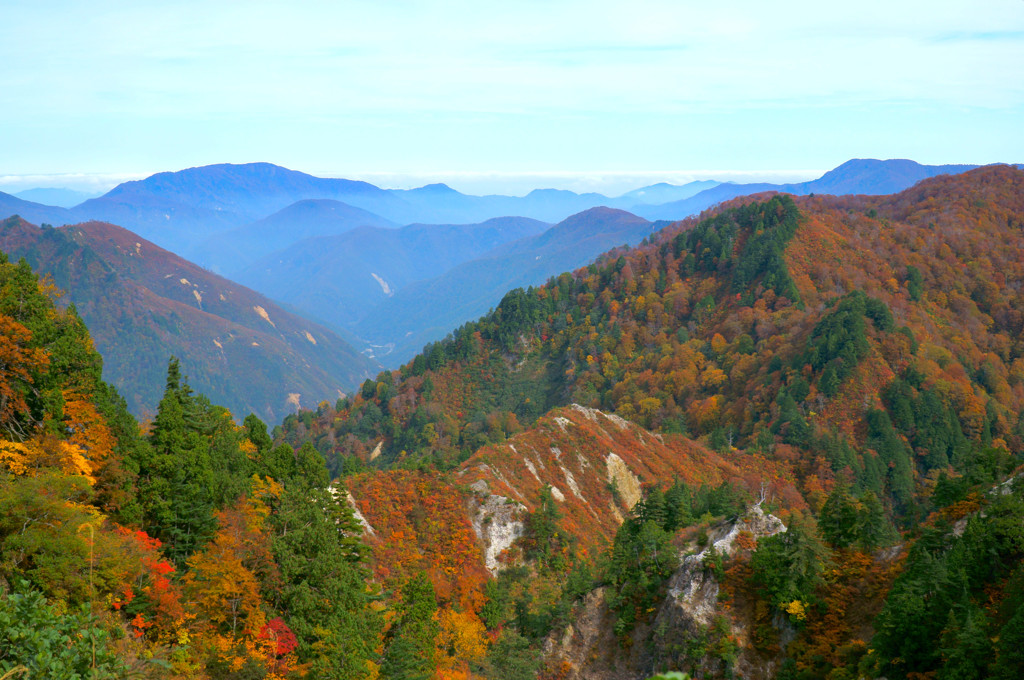 色づく山々