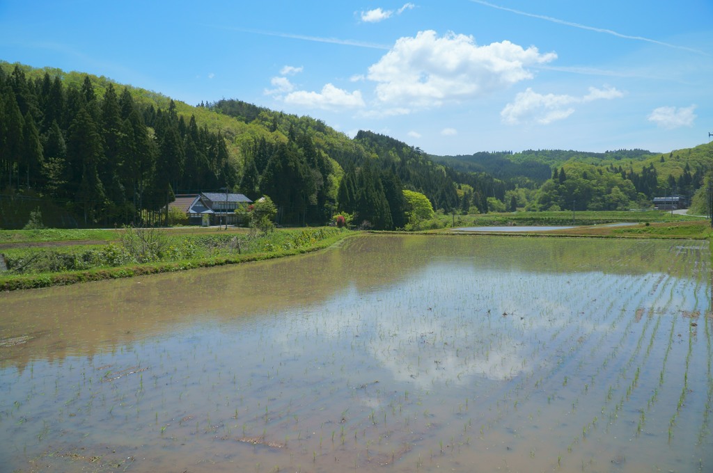 能登町　当目の田園