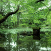 春の池