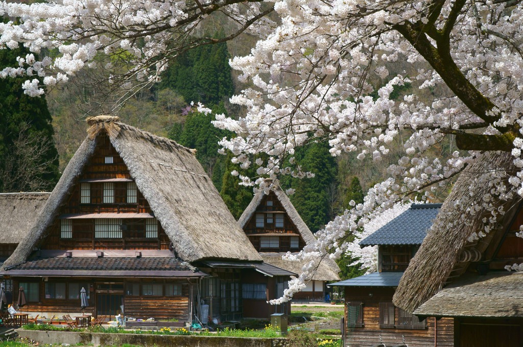 春　茅葺屋根のある風景