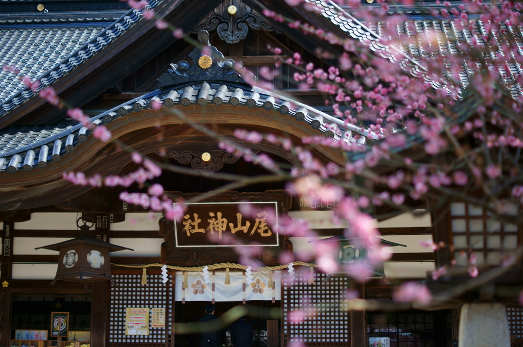 金沢散策・尾山神社　拝殿
