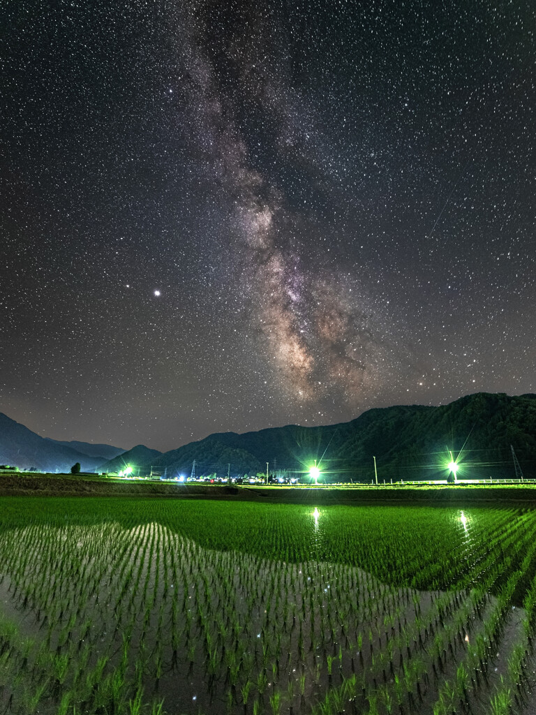 満点星