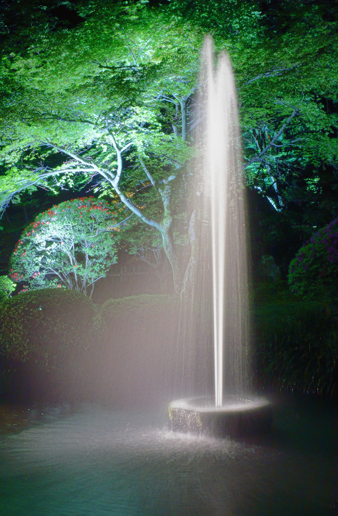 噴水（兼六園ライトアップ）