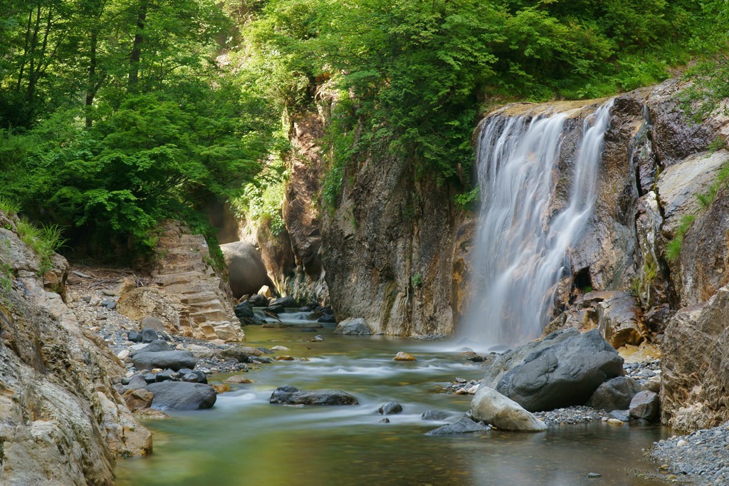 新緑溶ける渓流