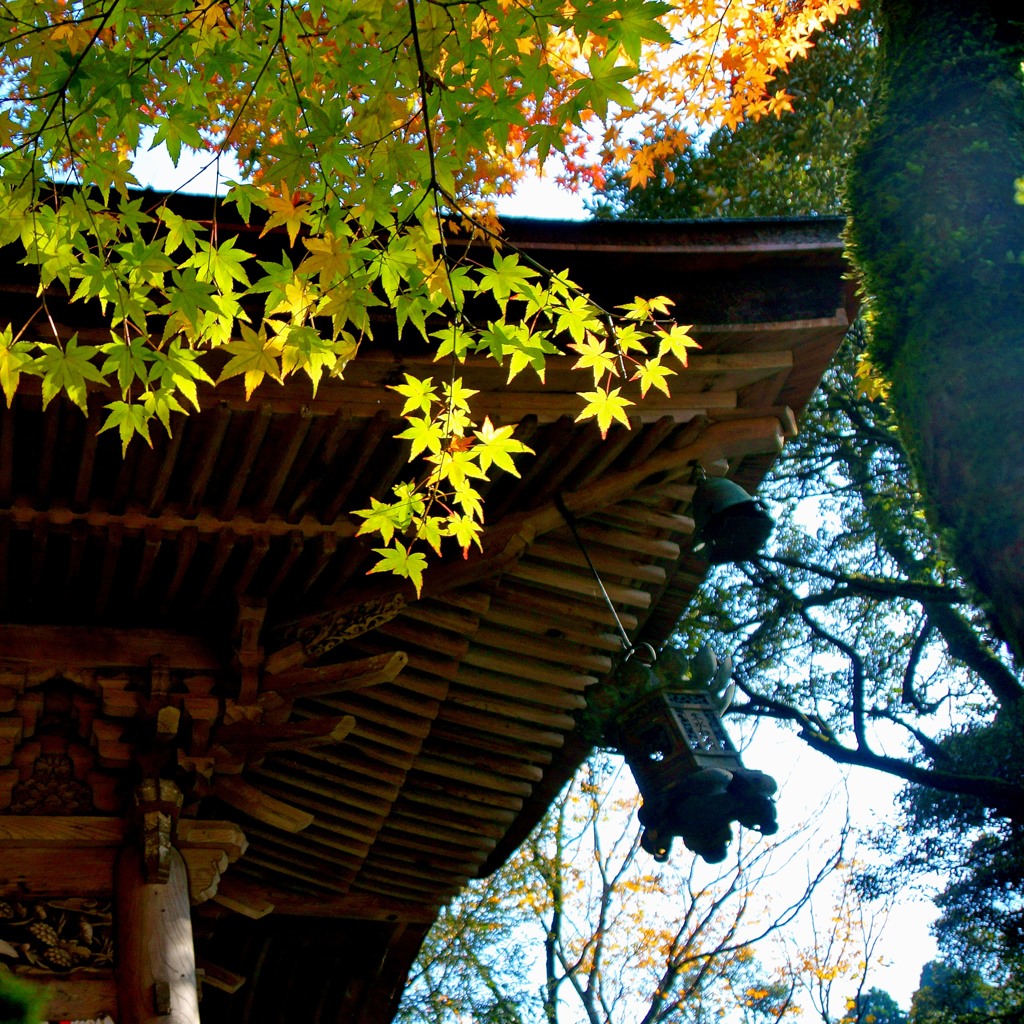那谷寺の紅葉7