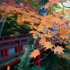 那谷寺の紅葉1