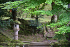 ひっそりたたずむ神社にて