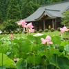 花はす公園　スナップ