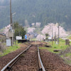 能登　春の思いで