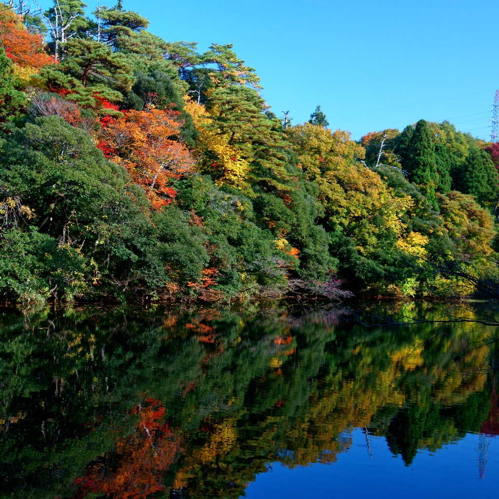 那谷寺の紅葉4