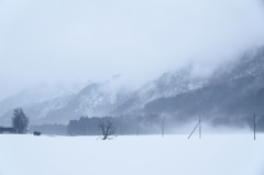 日常の風景（冬）